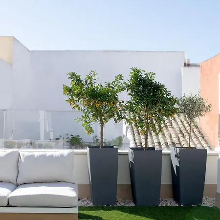 Apartment Hommyhome Arenal Luxury